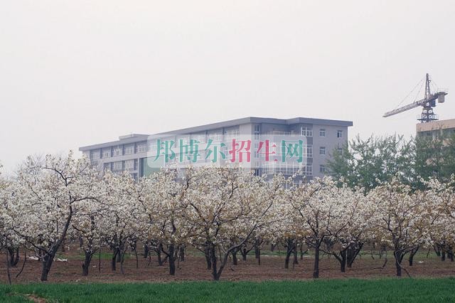 石家莊財經(jīng)職業(yè)學(xué)院是幾專
