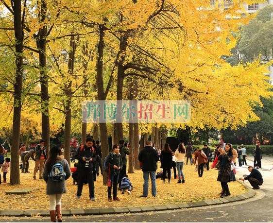 成都通信技術(shù)學校招生要求