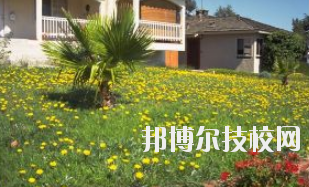 同學(xué)們需要依據(jù)自己所了解的情況來(lái)選擇學(xué)校，那么這也決定看同學(xué)們需要去了解這些學(xué)校的招生簡(jiǎn)章，以便可以清楚的了解學(xué)校信息。下面就由小編給同學(xué)們介紹的有關(guān)于蘭州園藝學(xué)校招生簡(jiǎn)章以及相關(guān)情況，以供大家參考了解。  蘭州園藝學(xué)校層次：中專  蘭州園藝學(xué)校性質(zhì)：公辦  蘭州園藝學(xué)校地址：蘭州市西固區(qū)范家坪  蘭州園藝學(xué)校介紹 蘭州園藝學(xué)校是全省唯一一所園藝、設(shè)施園藝、園林花卉、生態(tài)環(huán)境保護(hù)、建筑裝飾、旅游服務(wù)管理、計(jì)算機(jī)網(wǎng)絡(luò)技術(shù)、古建筑油漆彩畫(huà)等專業(yè)為一體的國(guó)辦全日制普通中等專業(yè)學(xué)校。  學(xué)校地處全省政治經(jīng)濟(jì)文化中心蘭州市,占地面積8萬(wàn)平方米。有各類(lèi)教學(xué)實(shí)驗(yàn)室14個(gè)，擁有圖書(shū)館、閱覽室、組培室、微機(jī)室、語(yǔ)音室、電教室、校園網(wǎng)等各類(lèi)教學(xué)設(shè)施。校園環(huán)境幽靜、空氣清新、規(guī)劃科學(xué)、設(shè)計(jì)獨(dú)特。校園內(nèi)溫?zé)釒Щɑ芷贩N齊全，三季有花，四季常青，教學(xué)生活設(shè)施齊全，師資力量雄厚校風(fēng)優(yōu)良。學(xué)校在珠海、深圳、上海、昆明、蘭州和平牡丹園等地有多處實(shí)習(xí)基地。學(xué)校以獨(dú)特的專業(yè)設(shè)置，超長(zhǎng)的市場(chǎng)預(yù)測(cè)和嚴(yán)格的管理，為社會(huì)培養(yǎng)了大批實(shí)用型中等專業(yè)人才，畢業(yè)生就業(yè)面積廣，就業(yè)率高。  了解了蘭州園藝學(xué)校的信息后，就知道簡(jiǎn)章也是可以用來(lái)選擇學(xué)校的。以上就是小編給大家整理的蘭州園藝學(xué)校招生簡(jiǎn)章，想要了解更多有關(guān)于學(xué)校信息的同學(xué)們是可以直接咨詢了解邦博爾相關(guān)網(wǎng)站。