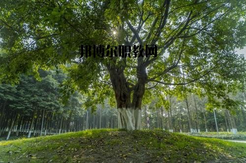 四川檔案學(xué)校2020年報名條件、招生要求、招生對象